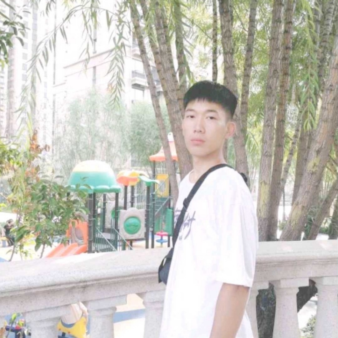 砖头伶俐的照片