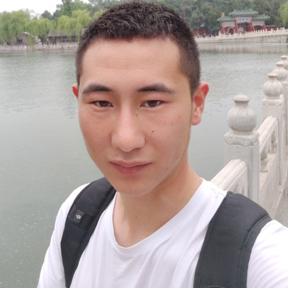 行走在岸上的鱼儿的照片