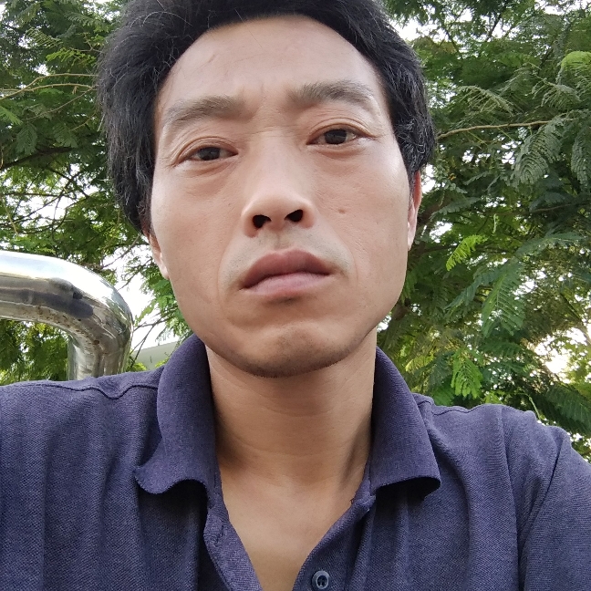 孝顺蜜蜂的照片