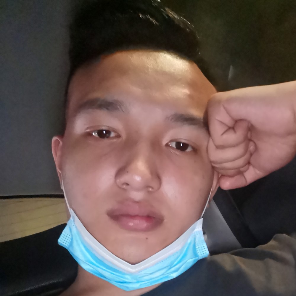 笨笨相许大象的照片