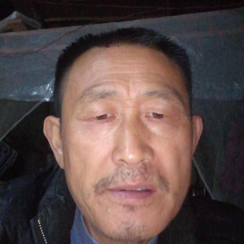 愁白了头的照片