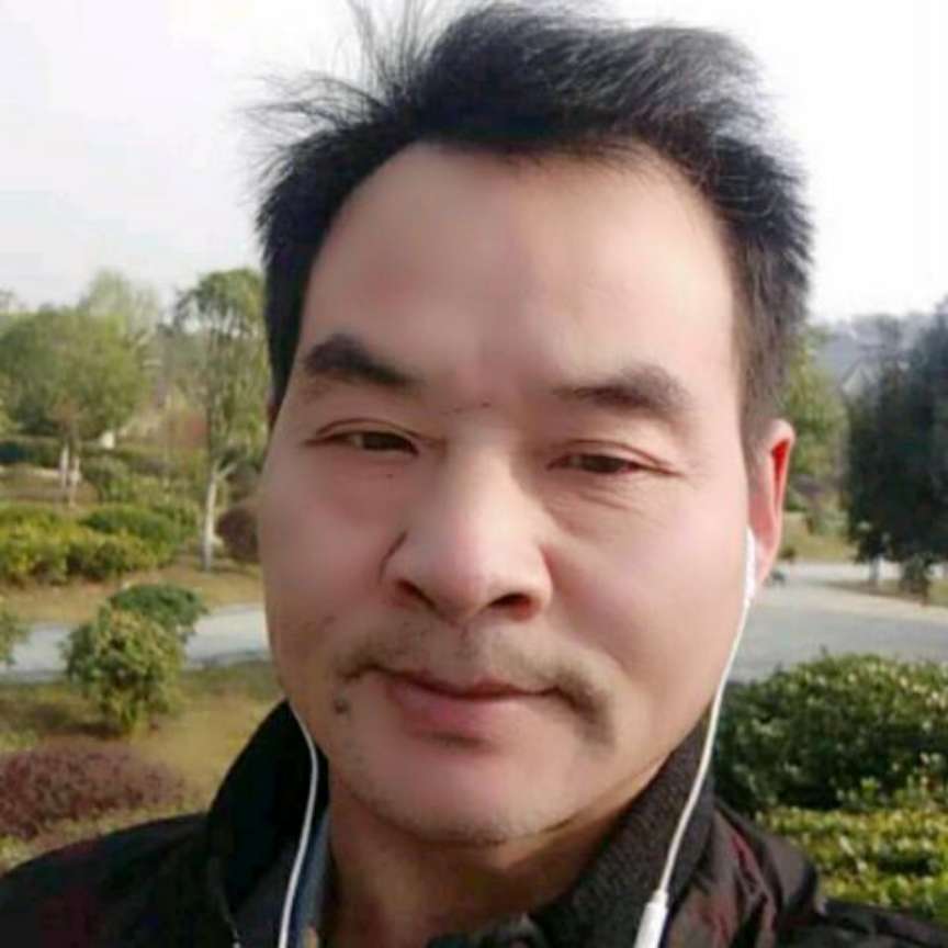 成就保卫刺猬的照片