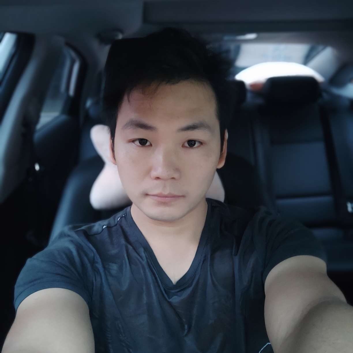 飞鸟有曾经的照片