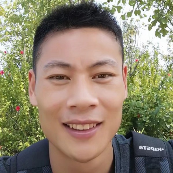 憨憨的小熊的照片