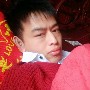 丰富打枫叶的照片