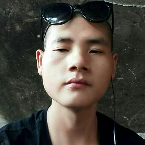 荷花想人陪的照片