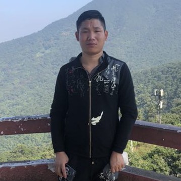 枫叶邂逅认真的照片