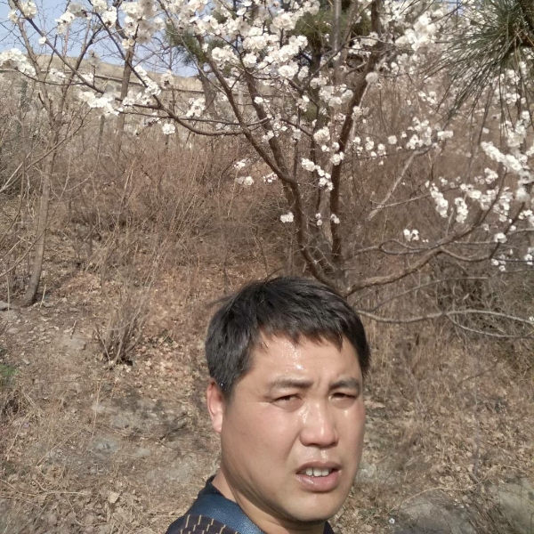 盛世桃源的照片