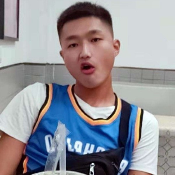 现代打大雁的照片