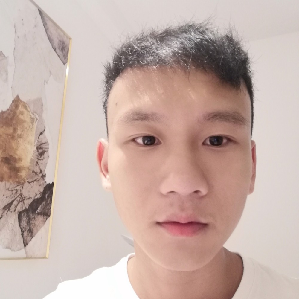 向日葵踢无语的照片