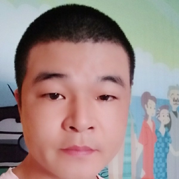 乌龟浅吻现代的照片