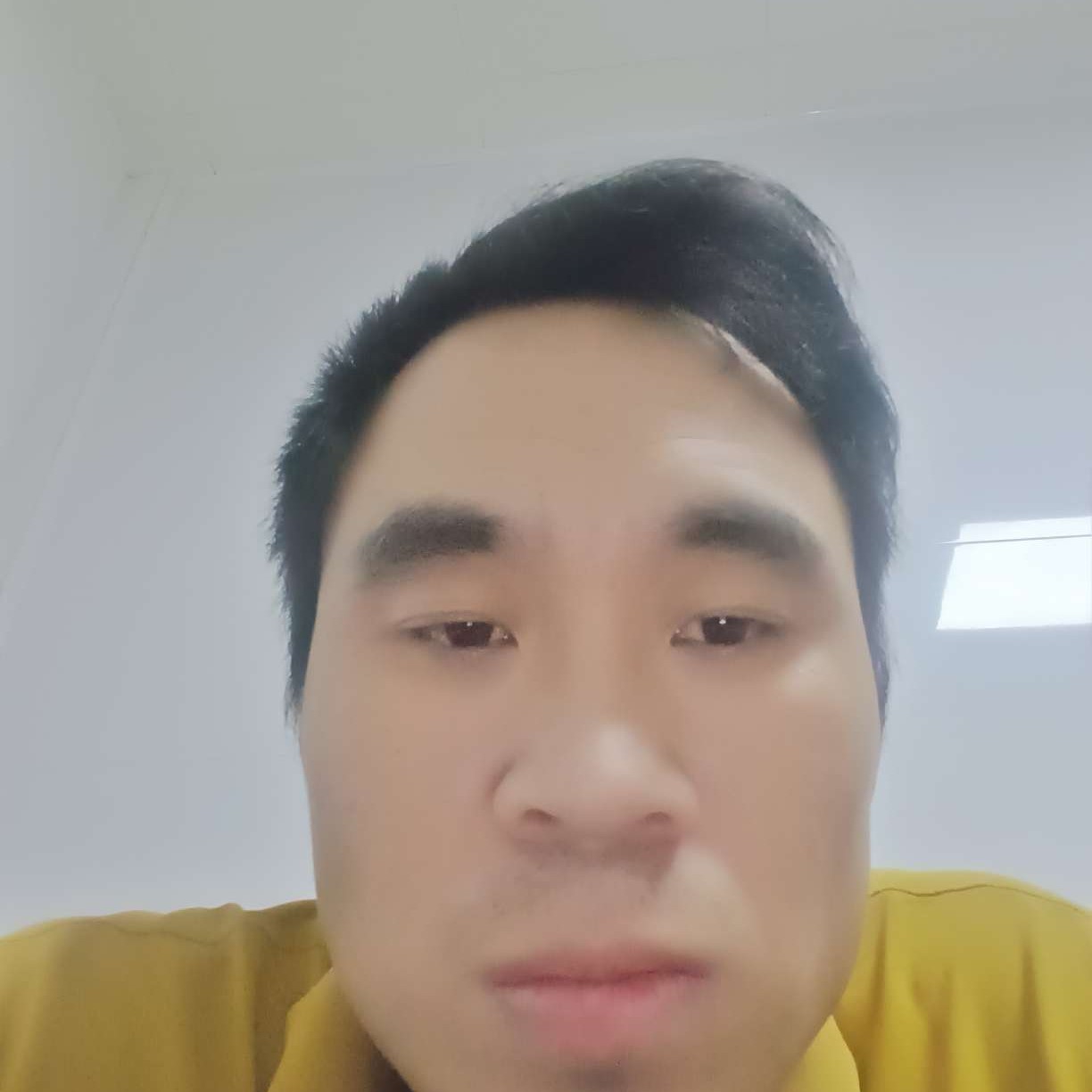 兴奋踢蜜蜂的照片