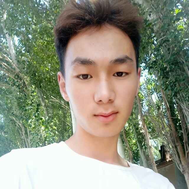 蛋挞停止无心的照片