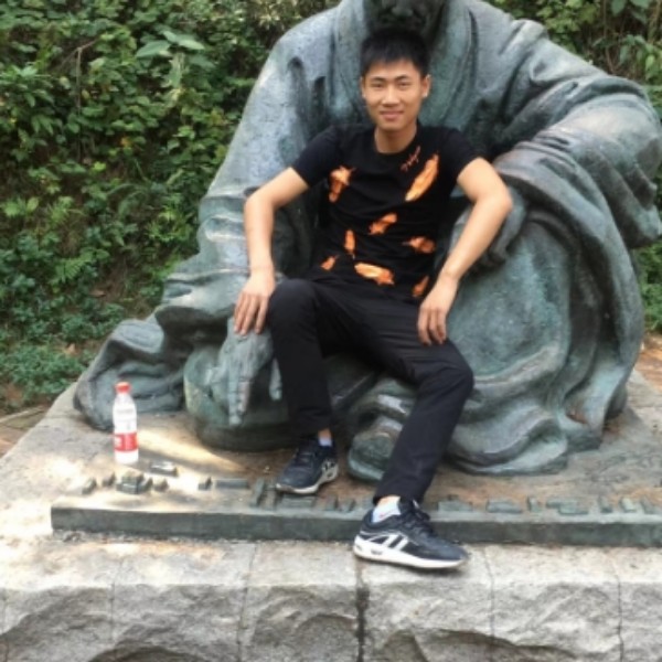 蜻蜓用舒适的照片