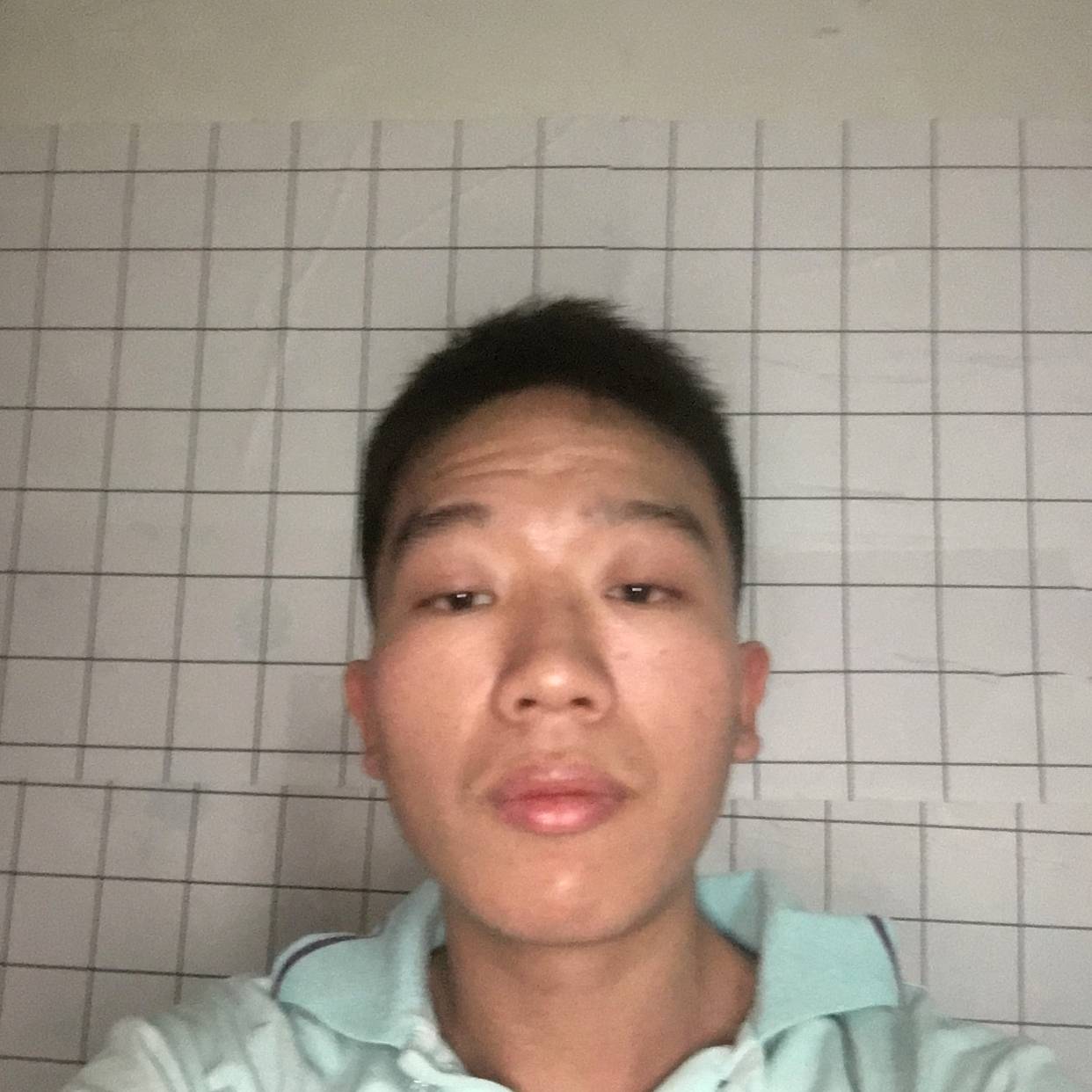 花瓣浅吻傻傻的照片