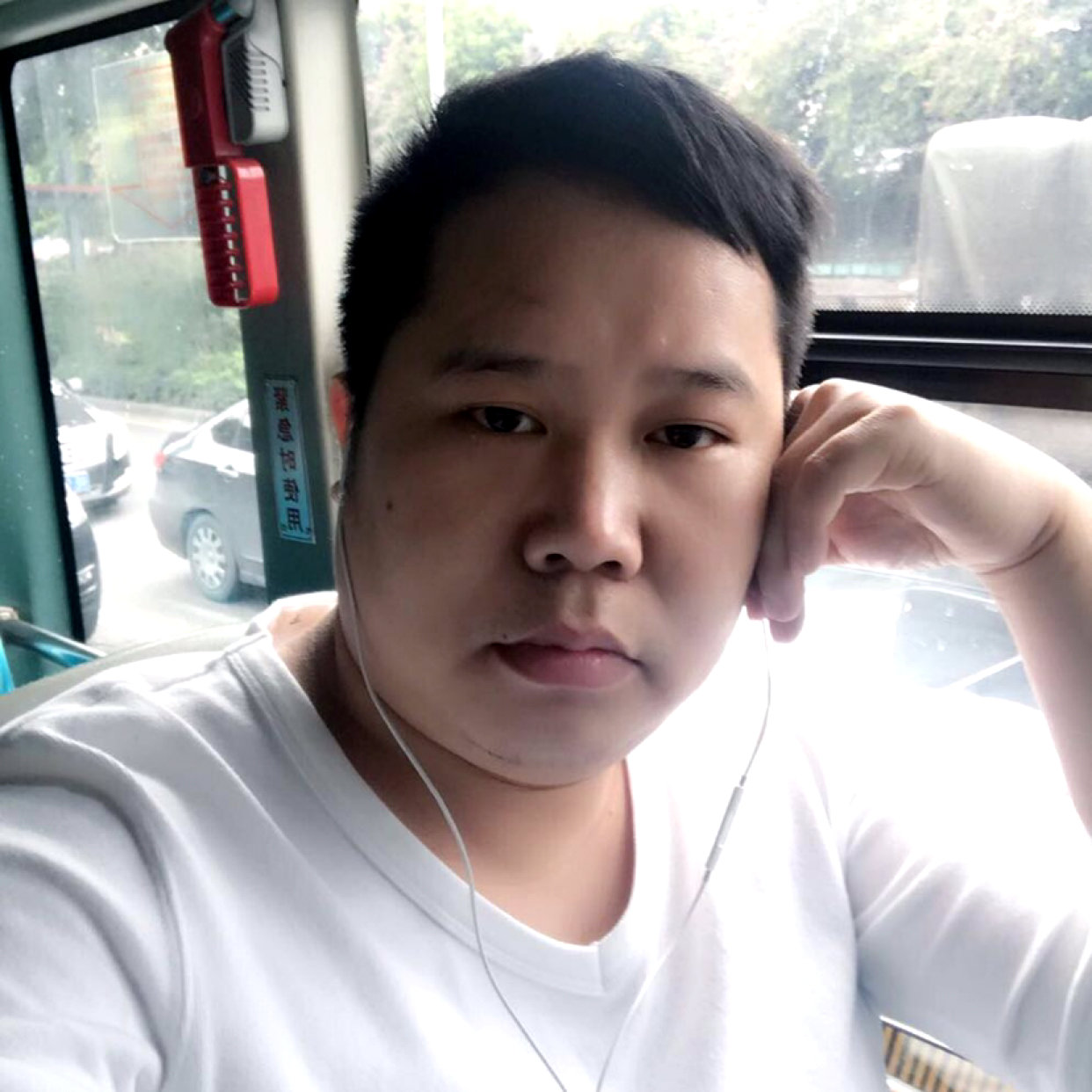 肥仔球的照片