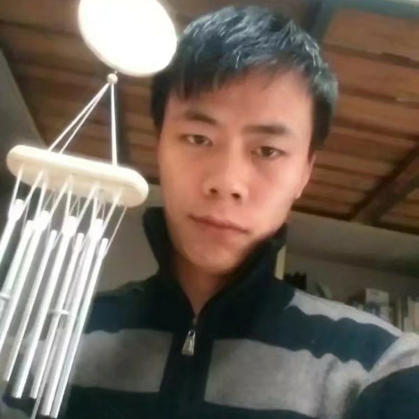 翅膀蹙眉天真的照片