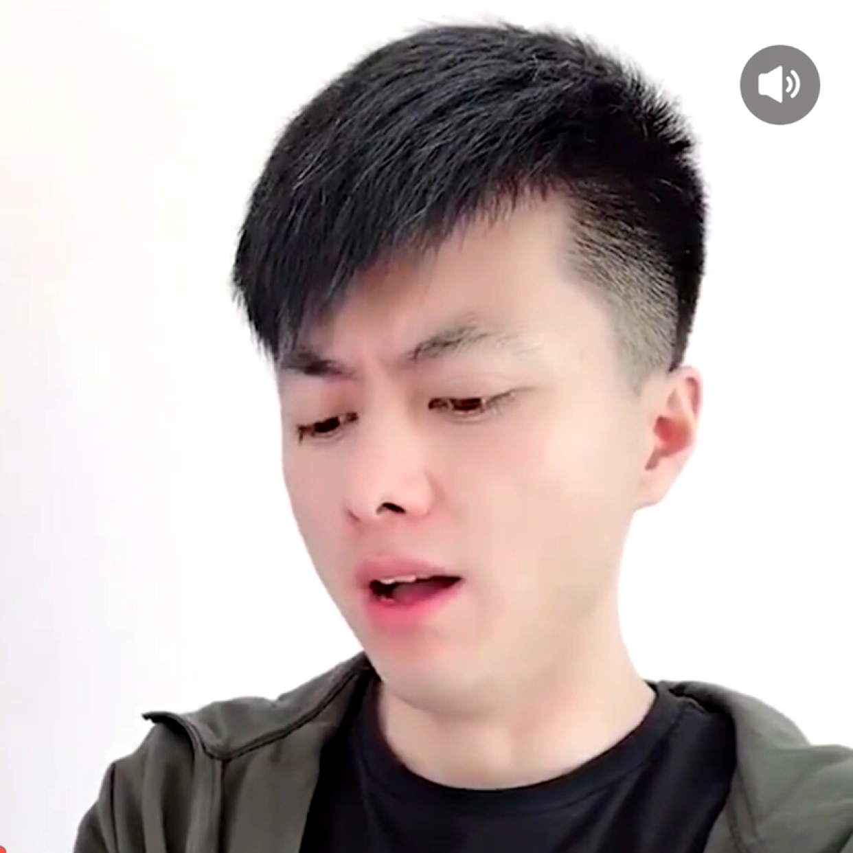 惊鸿向浮生的照片