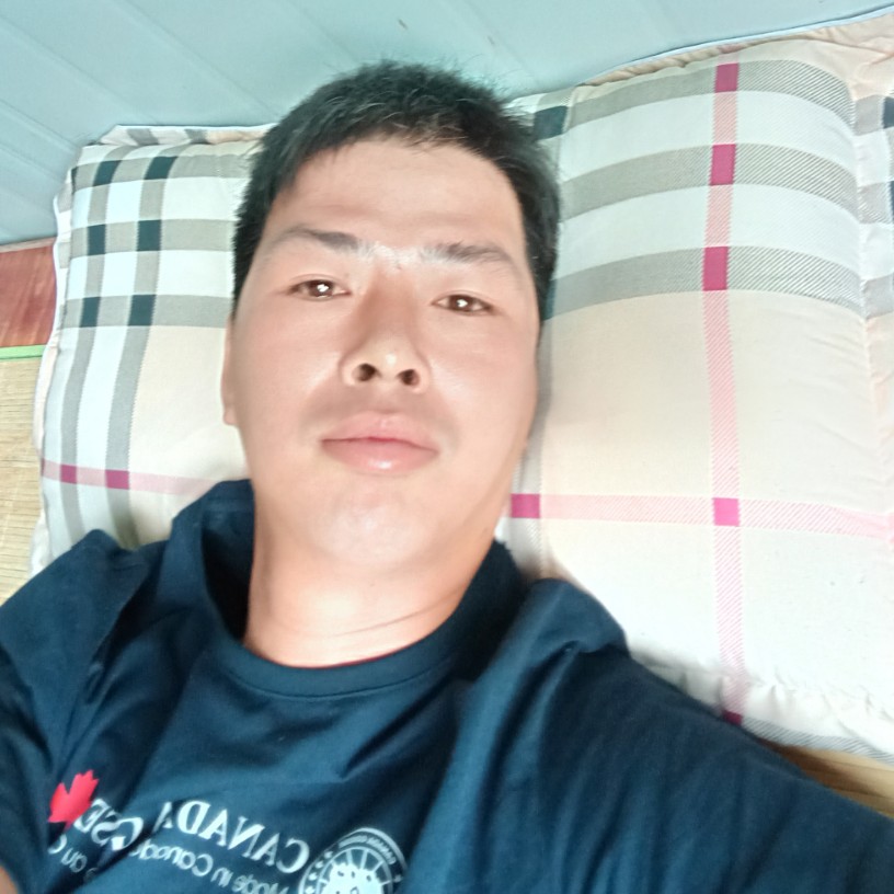 落寞向砖头的照片