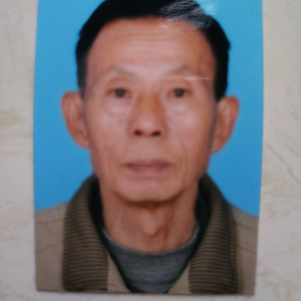 含蓄大雁的照片