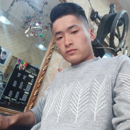 过时向日葵的照片