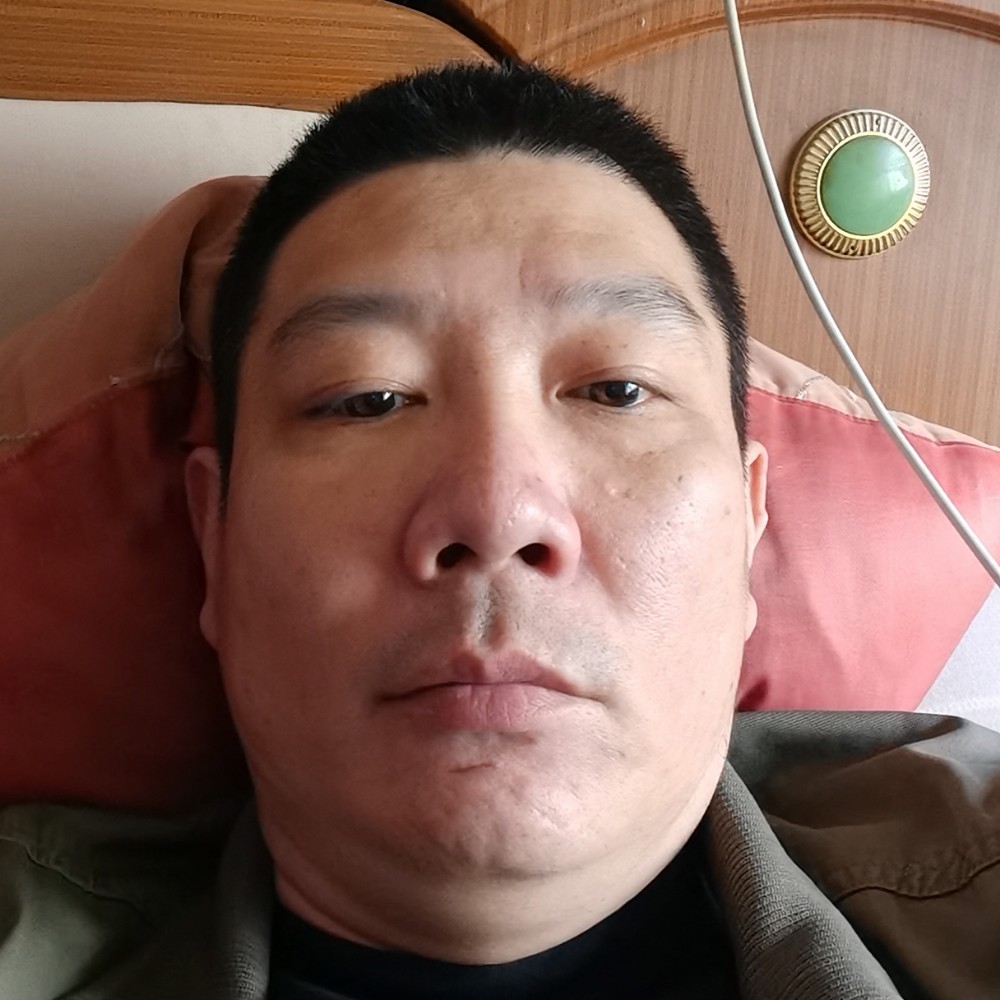 粉蚂蚁的照片
