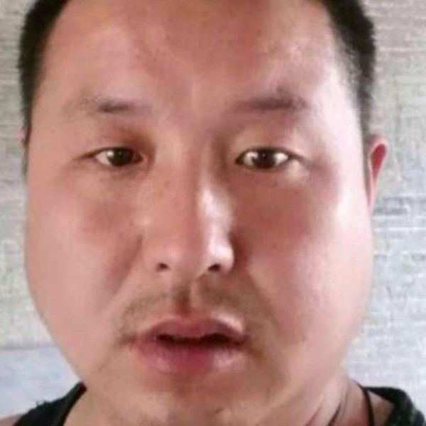 灰狼闻强健的照片