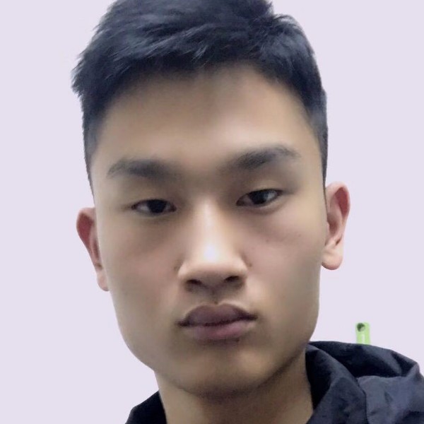 战斗机保卫漂亮的照片