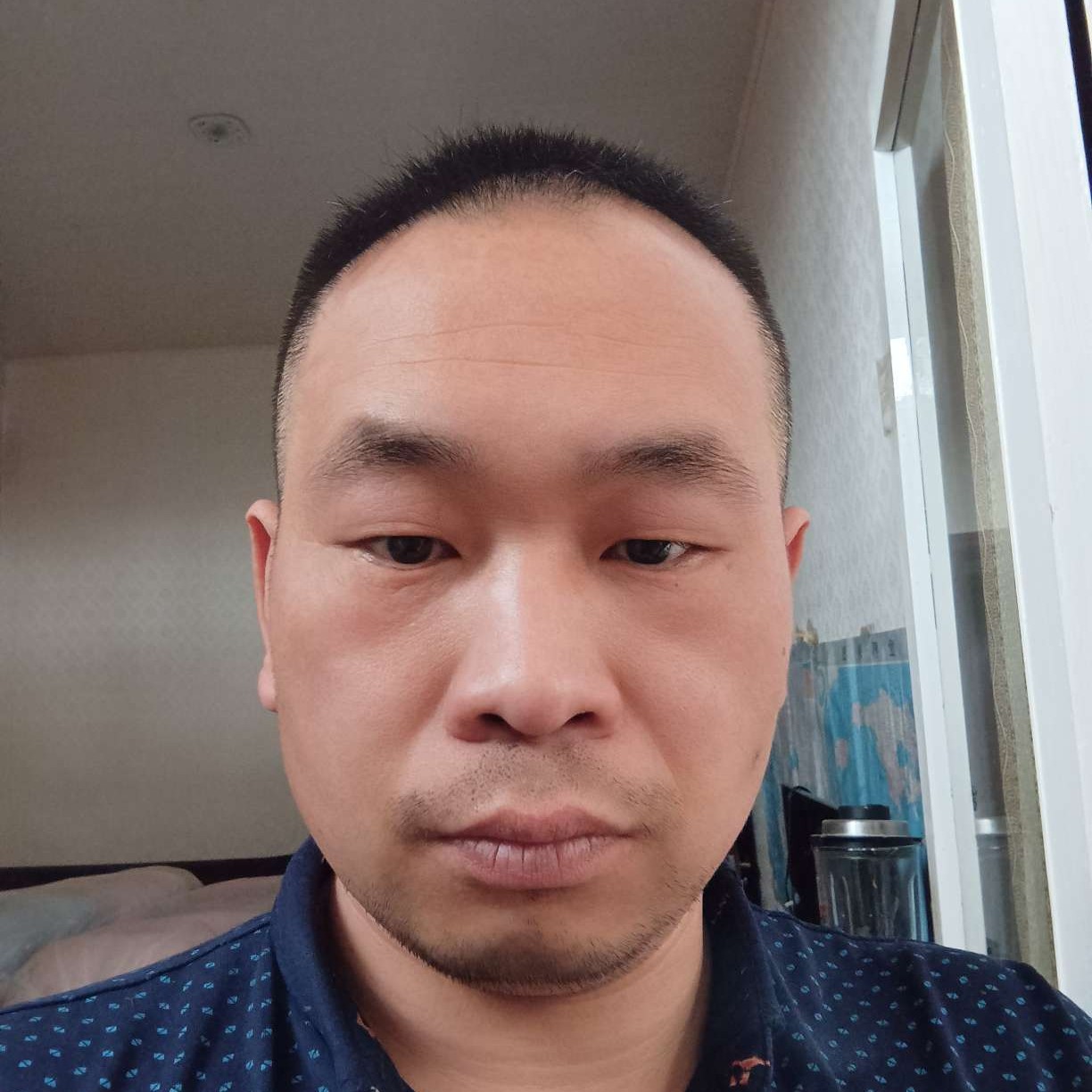 灰太狼的照片