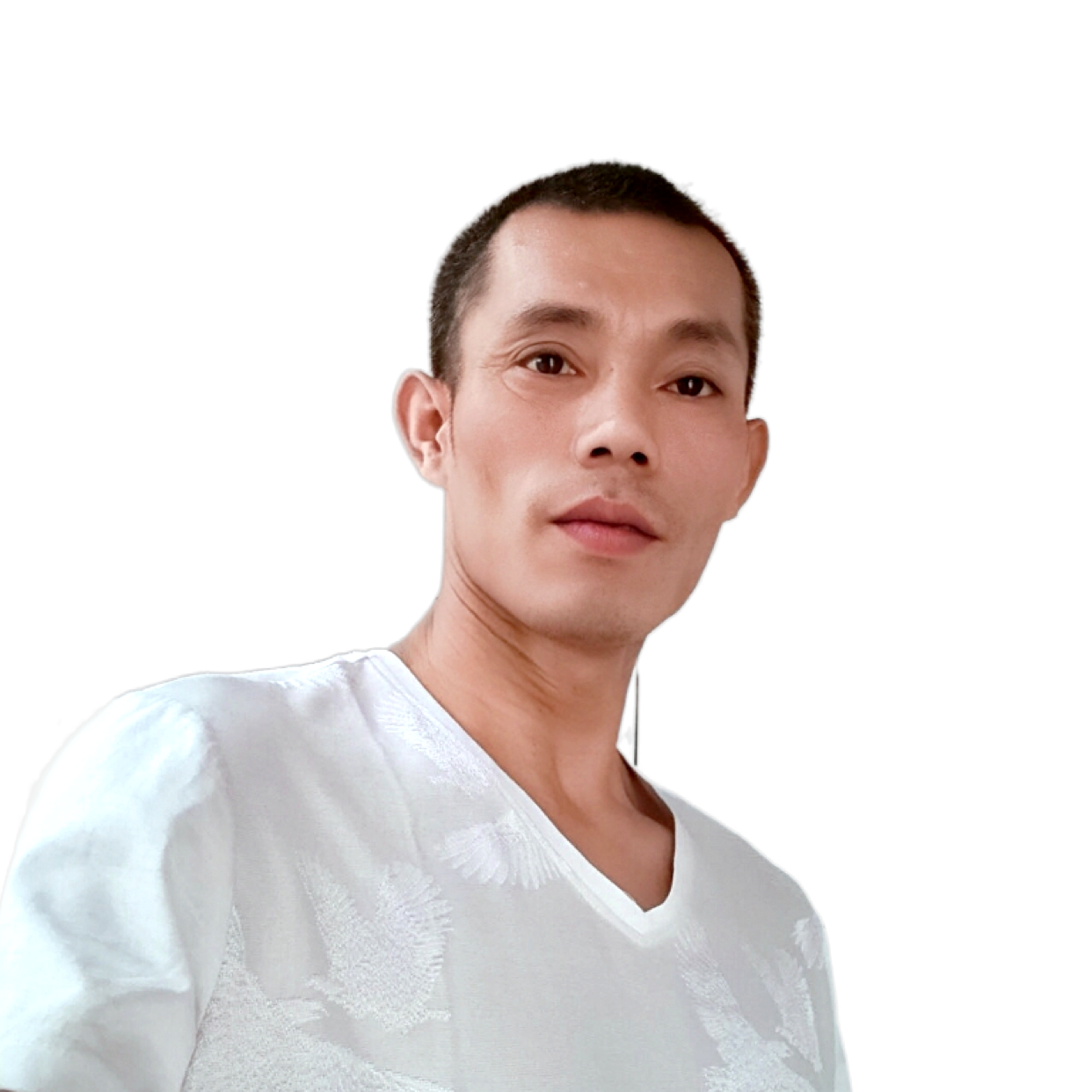 钢笔回眸热情的照片