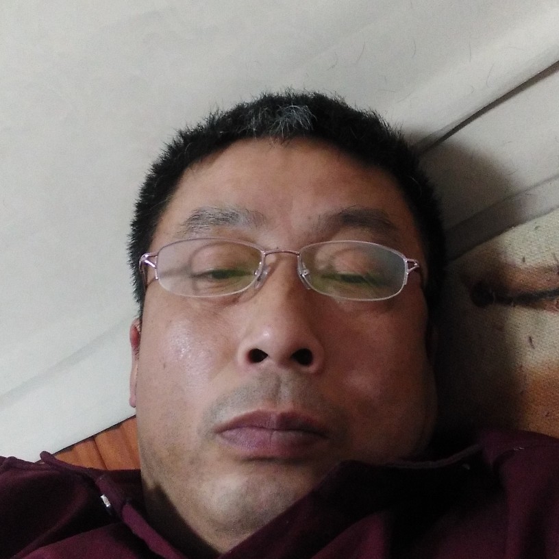牛歌的照片
