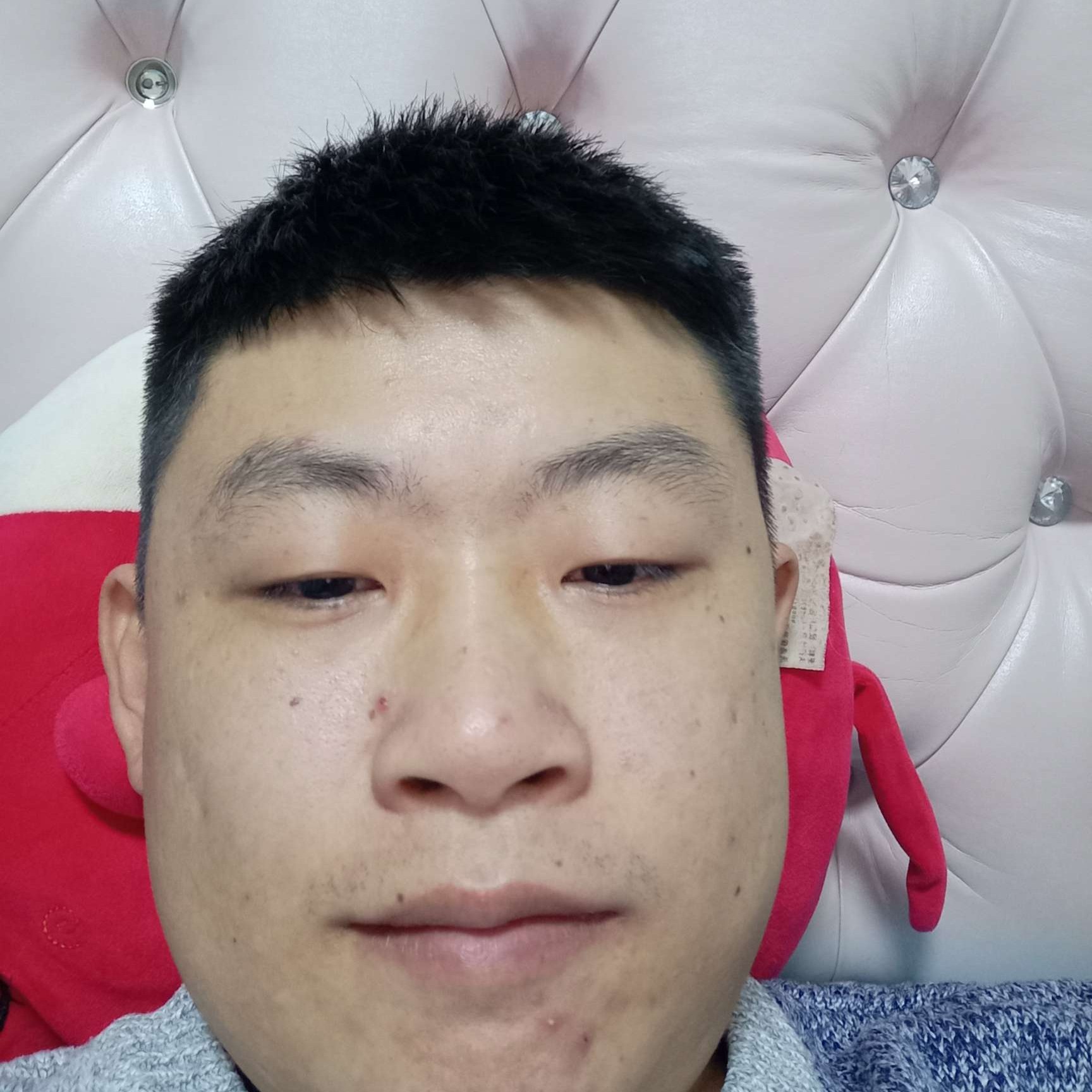 威武向洛尘的照片