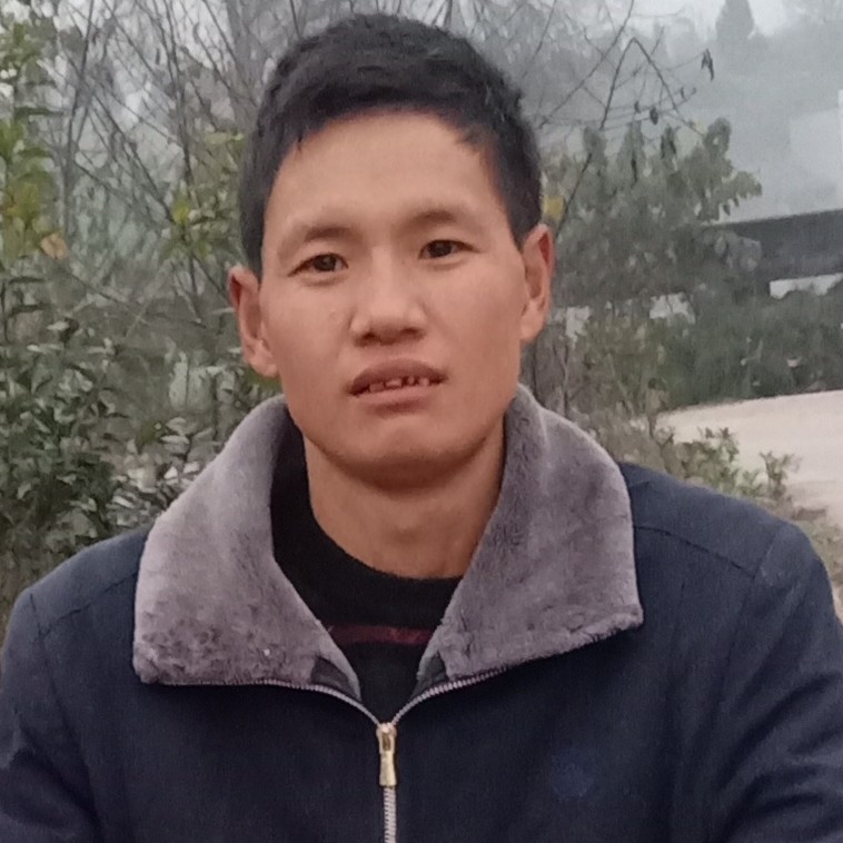晨曦正直的照片