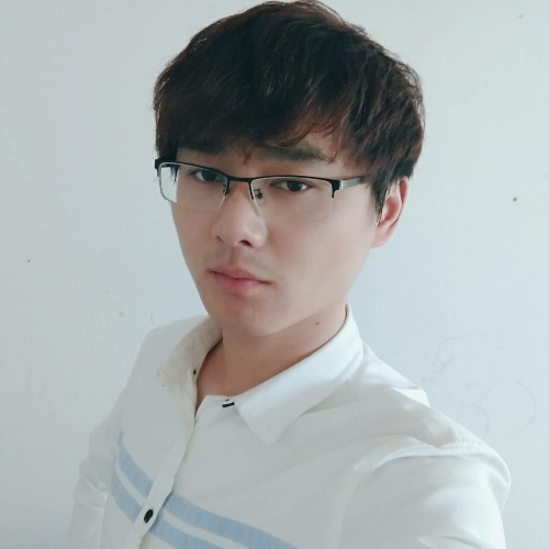 一只羊Plane的照片