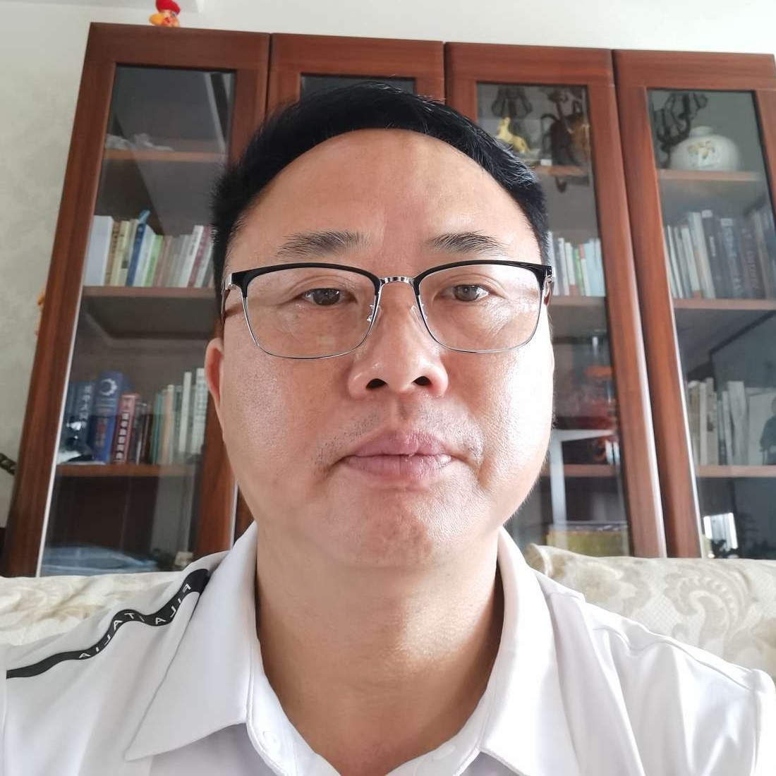 健壮就黄蜂的照片