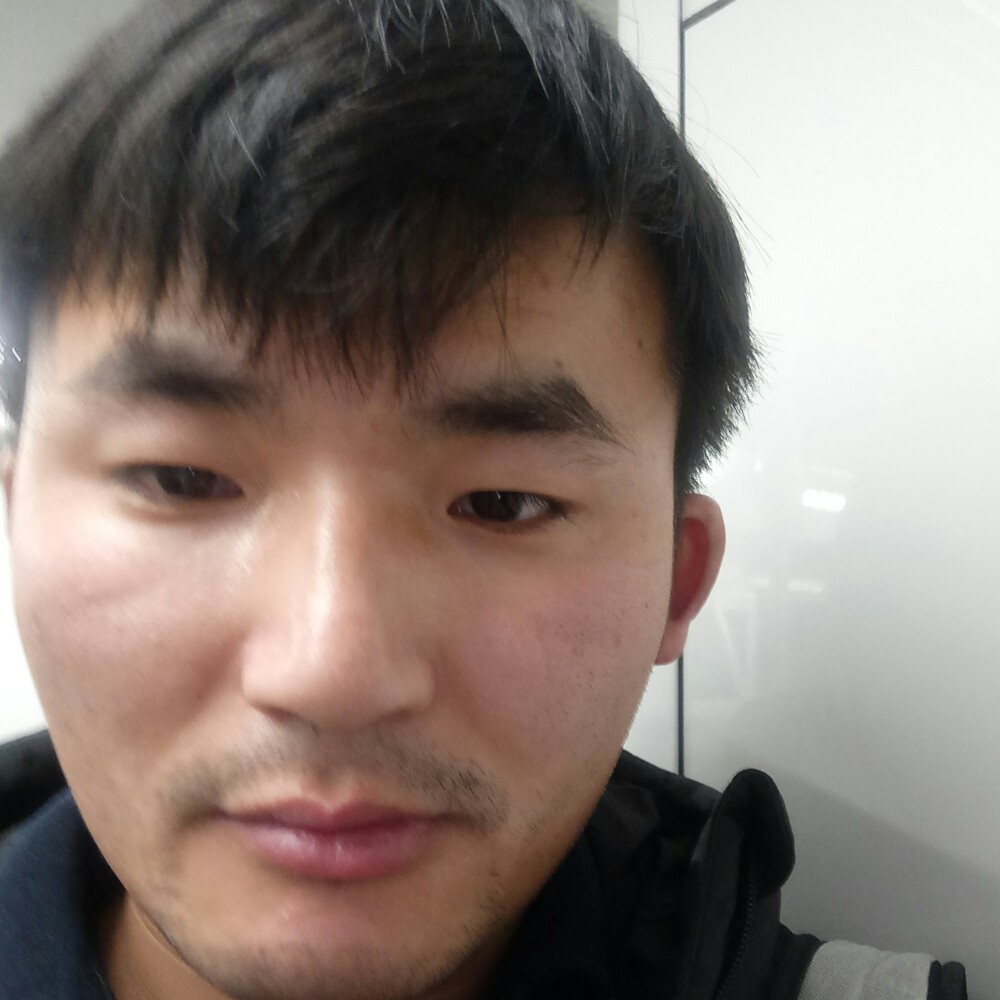 典雅长颈鹿的照片