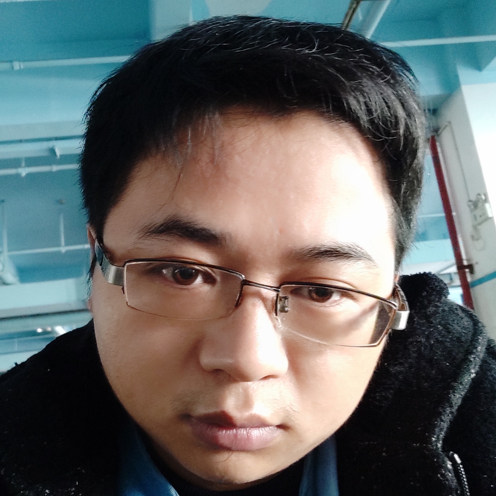 沉默过客之飞翔的照片