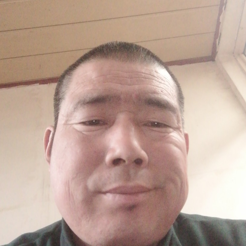 可乐迅速的照片