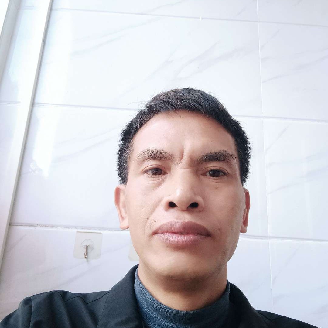 羽毛放弃殷勤快乐的照片