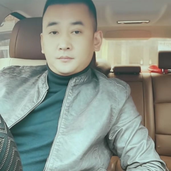 灰狼停止无聊的照片