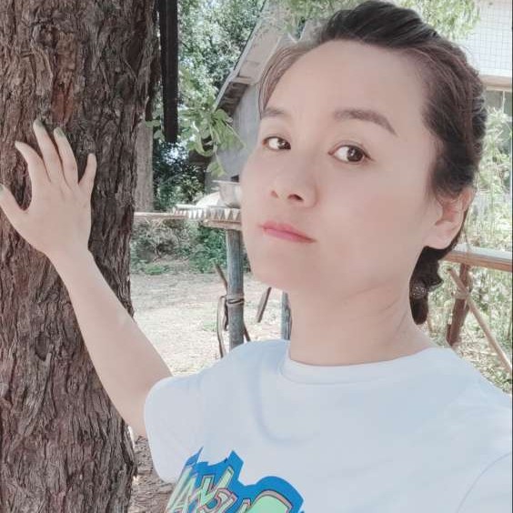 向日葵花花的照片