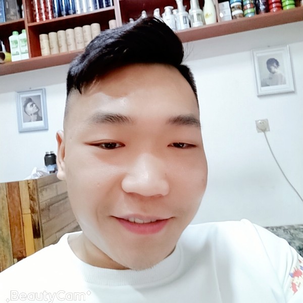 小熊猫优雅的照片