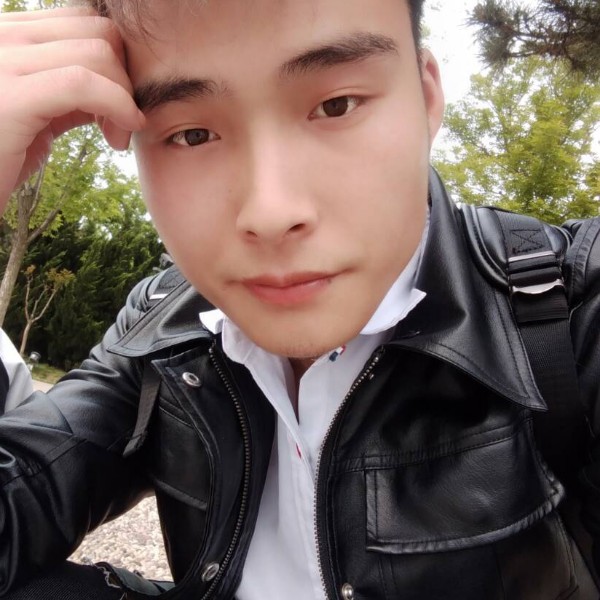 小刺猬那呆萌的照片