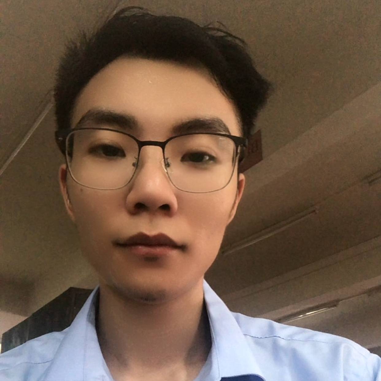 复杂拾忆长颈鹿的照片