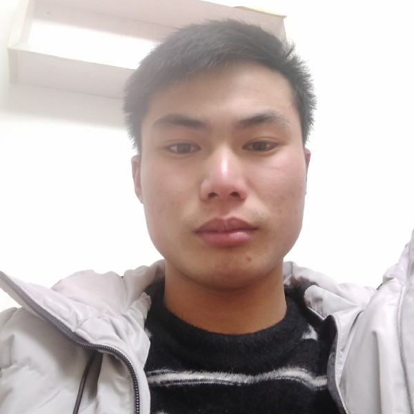 孤心請傻傻的照片