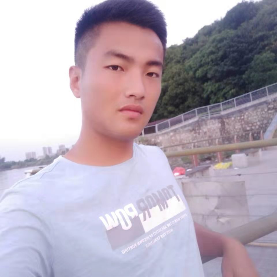 沉睡的小灰狼的照片