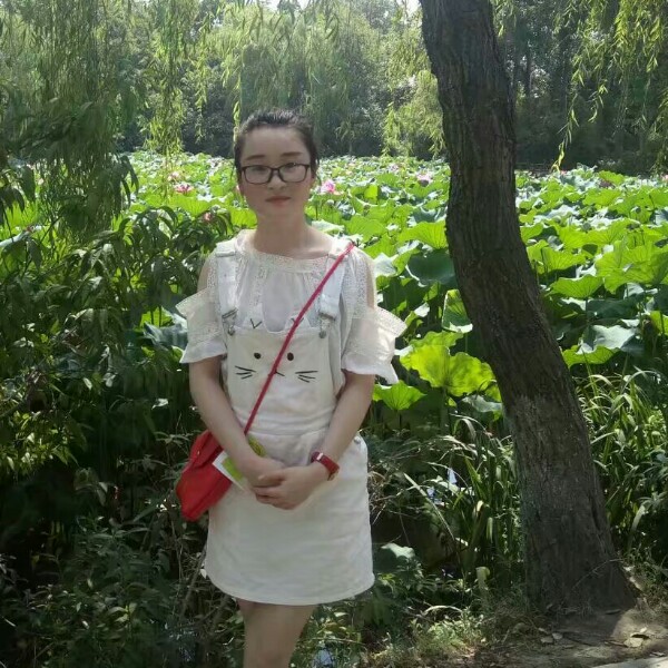 花开半夏的照片