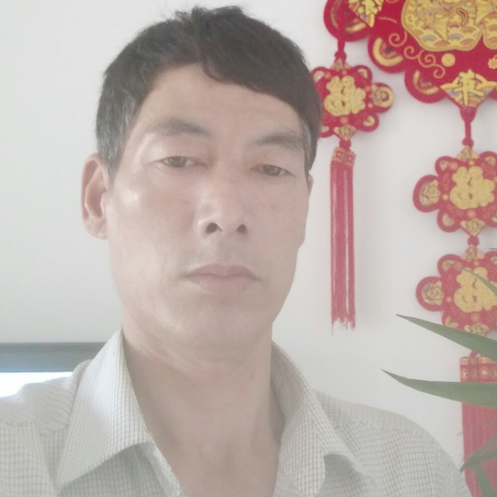 无奈铃铛的照片