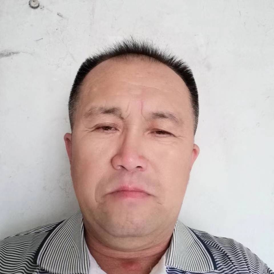 跟着宠物的主人的照片