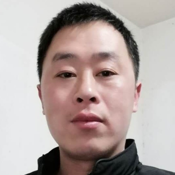 阳光小海豚的照片